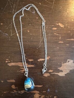 Hand painted Swamp Cat against Sunset, wooden bead on New 24” Chain